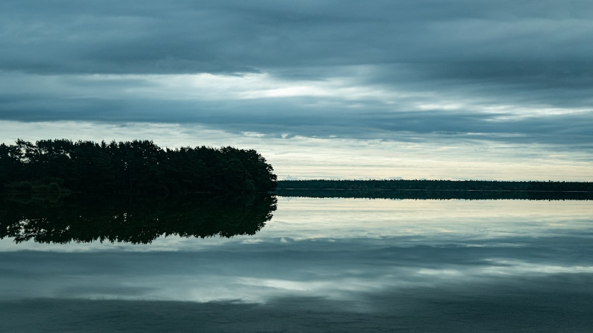 a large body of water surrounded by trees